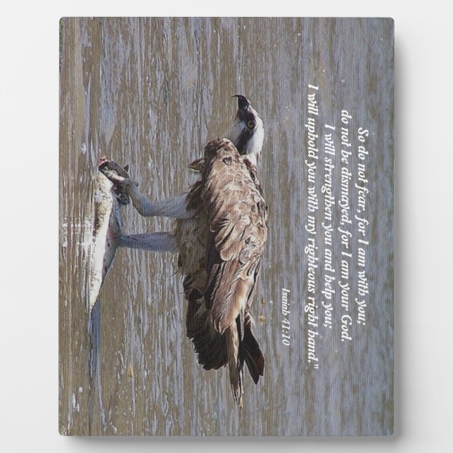 Osprey Bird Fish Wildlife Isaiah Foto Plaque Fotoplatte (Vorderseite)