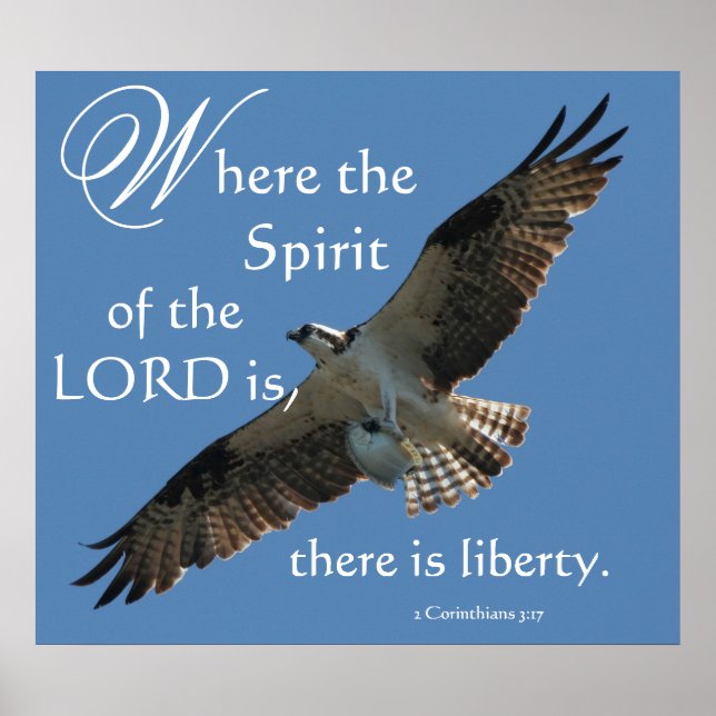 Osprey Bird Spirit of the LORD Print Poster (Vorne)