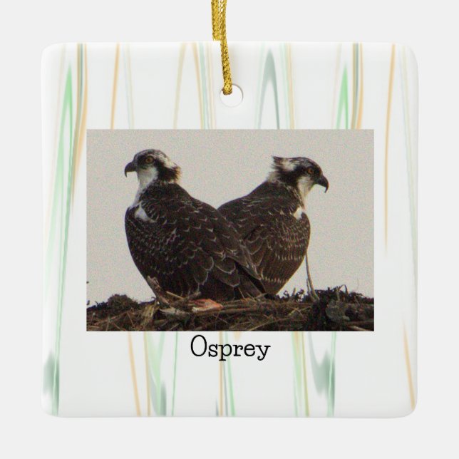 Osprey Birds in Nest Ornament (Vorderseite)