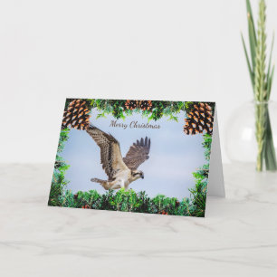Osprey Christmas Card Karte