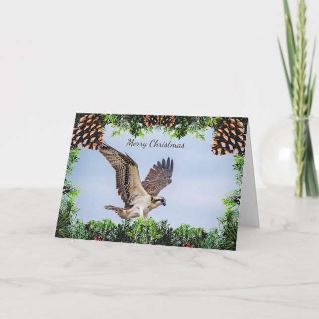 Osprey Christmas Card Karte (Vorderseite)
