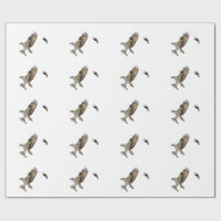 Osprey, der durch eine rotgeflügelte Amsel gejagt