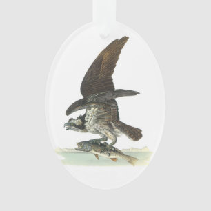 Osprey durch Audubon Ornament