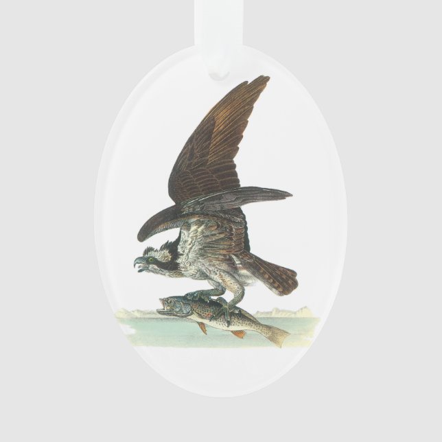 Osprey durch Audubon Ornament (Vorderseite)