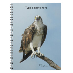 Osprey-Falke-Gesang Notizbuch Notizblock