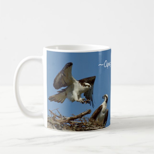 Osprey feilbietet Fliegennest Tasse (Links)