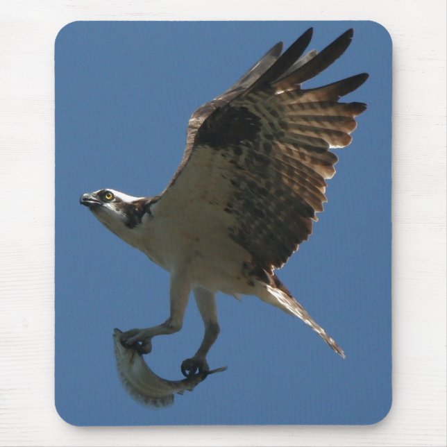 Osprey/Fische Mousepad (Vorne)