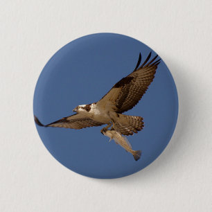 Osprey Fisher Button