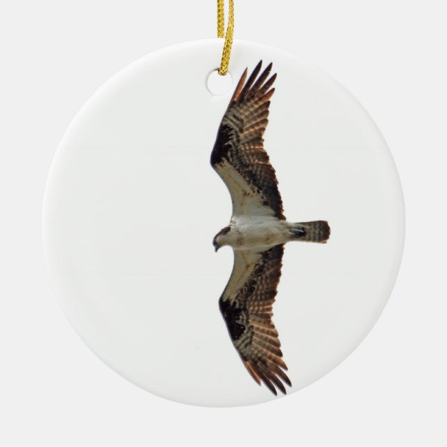 Osprey-Fliegen-Foto Keramik Ornament (Vorne)