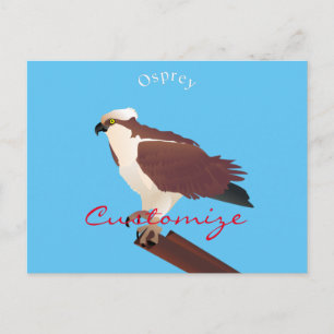 Osprey Hawk Raptor Thunder_Cove Postkarte