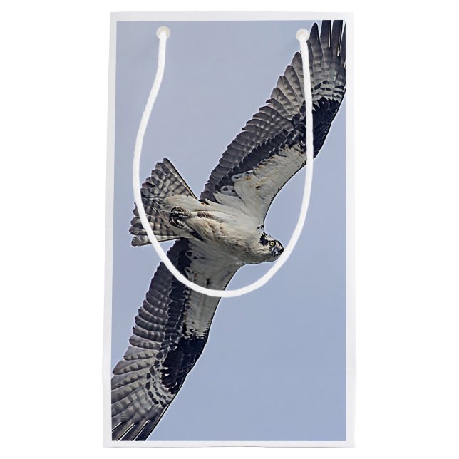 Osprey im Flug Kleine Geschenktüte (Vorderseite)