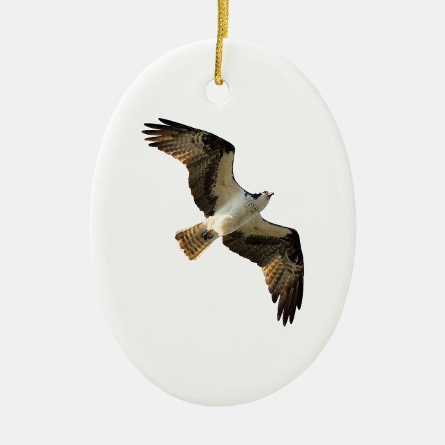 Osprey-im Flug Logo Keramikornament (Vorne)