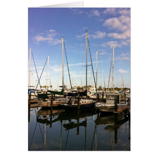 Osprey im Masthead (Vorne)