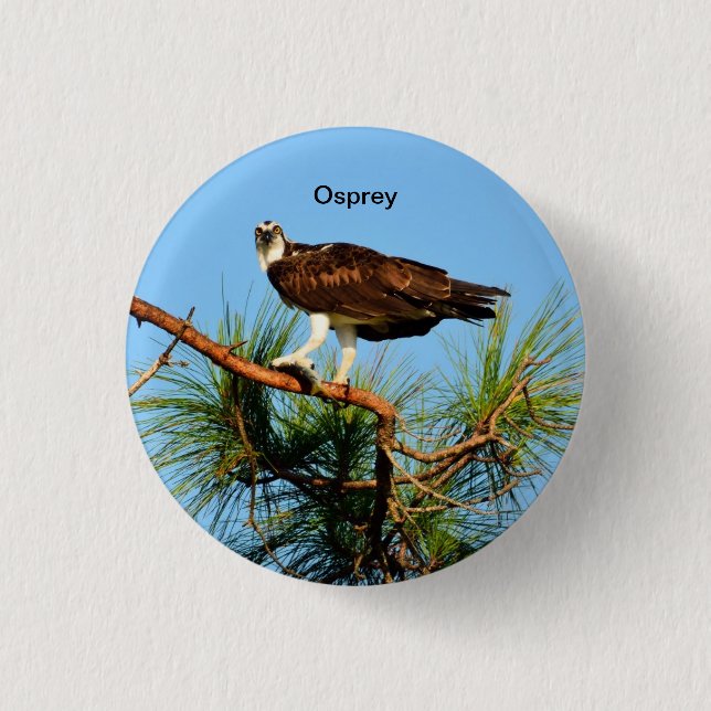 Osprey im wilden button (Vorderseite)