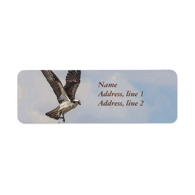 Osprey in einem Nest (Vorne)