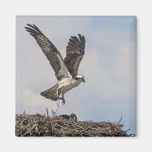 Osprey in einem Nest Magnet
