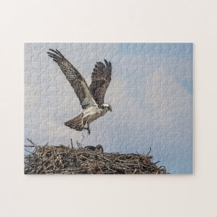 Osprey in einem Nest Puzzle