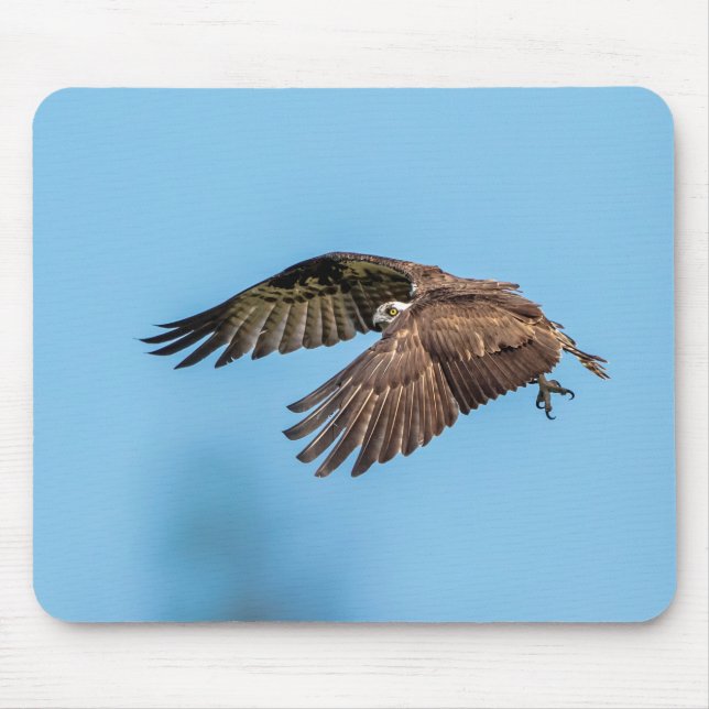 Osprey in Flitterwochen Staat Park Mousepad (Vorne)