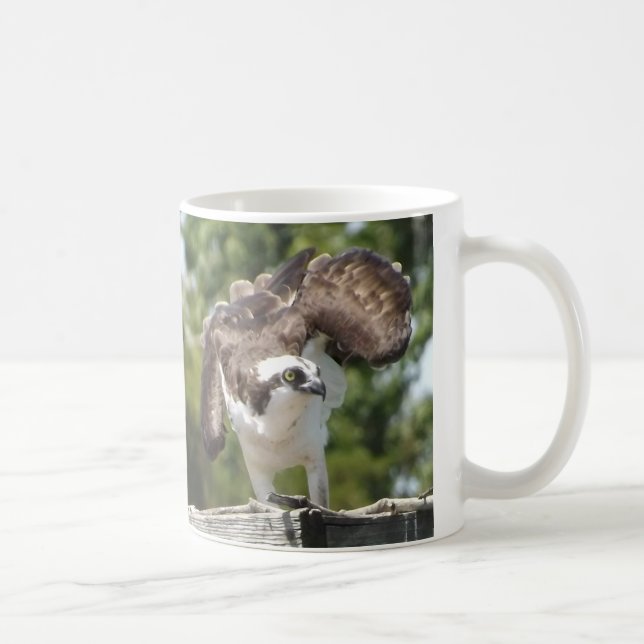 Osprey-Kaffee-Tasse Kaffeetasse (Rechts)