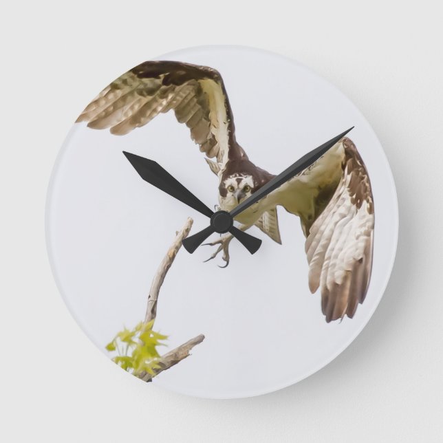 Osprey kommt auf dich runde wanduhr (Vorderseite)