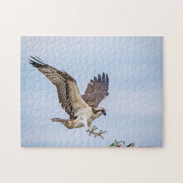 Osprey Landung im Nest Puzzle (Horizontal)