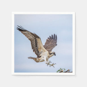 Osprey Landung im Nest Serviette