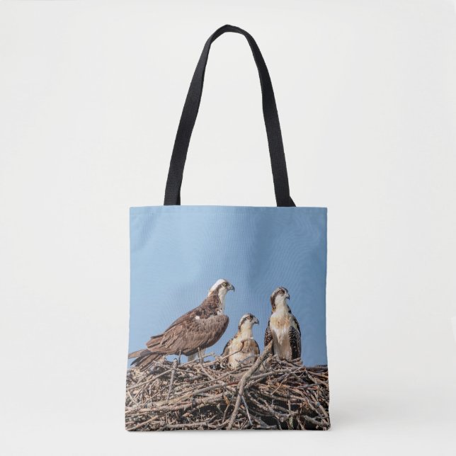 Osprey Mama mit ihren Kindern (Vorderseite)