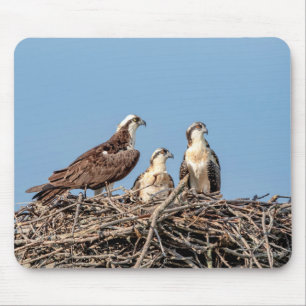 Osprey Mama mit ihren Kindern Mousepad