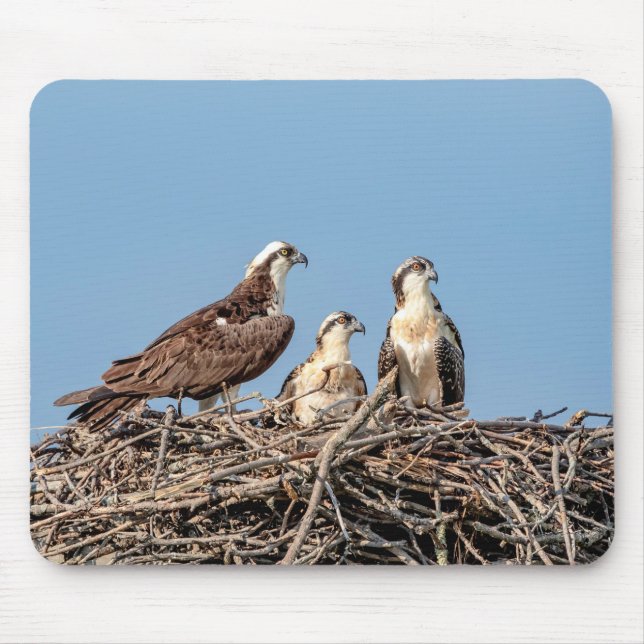 Osprey Mama mit ihren Kindern Mousepad (Vorne)