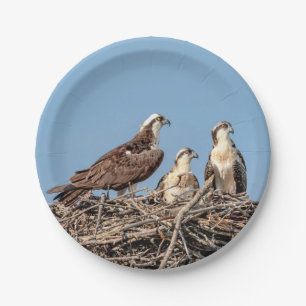 Osprey Mama mit ihren Kindern Pappteller