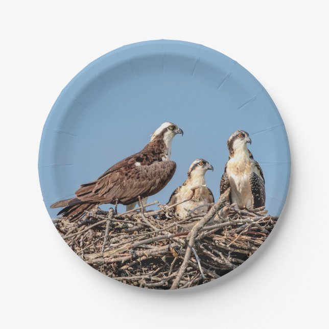 Osprey Mama mit ihren Kindern Pappteller (Vorderseite)
