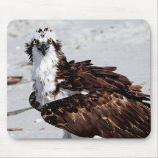 Osprey-Mausunterlage Mousepad