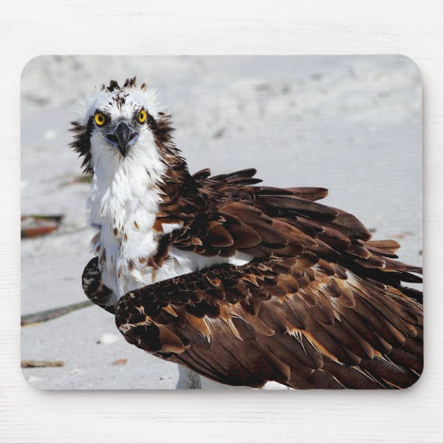 Osprey-Mausunterlage Mousepad (Vorne)