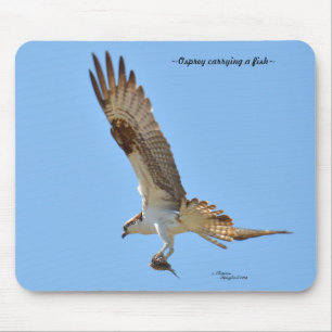 Osprey mit Fisch Mousepad