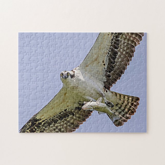 Osprey mit Fisch Puzzle (Horizontal)