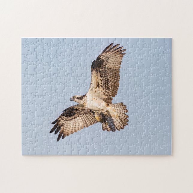 Osprey mit Fisch Puzzle (Horizontal)
