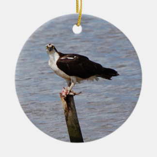Osprey mit Fischverzierung Keramikornament