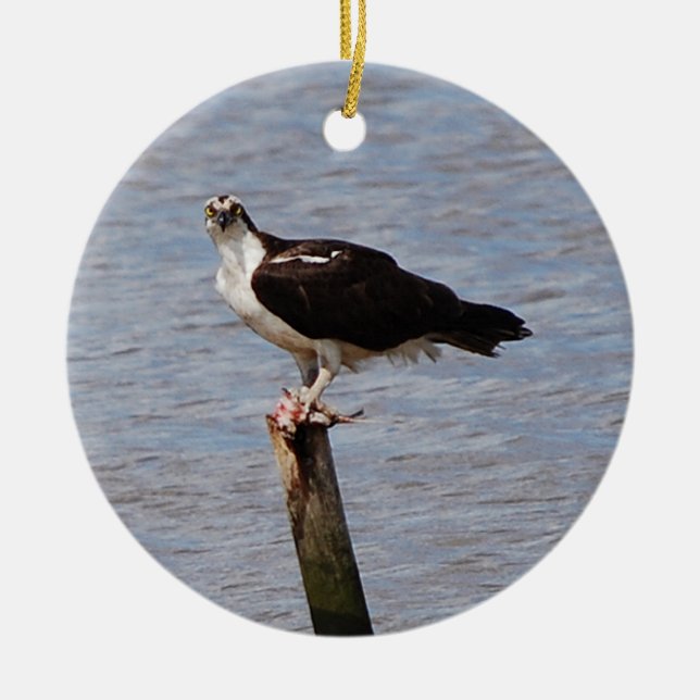 Osprey mit Fischverzierung Keramikornament (Vorne)