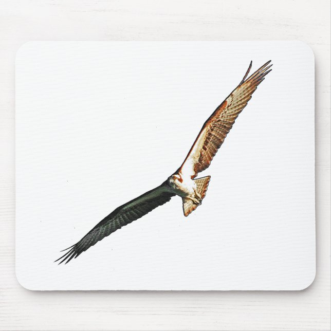 Osprey Mousepad (Vorne)
