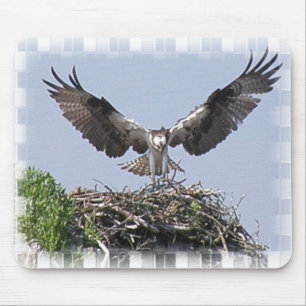 Osprey-Nest-Mausunterlage Mousepad