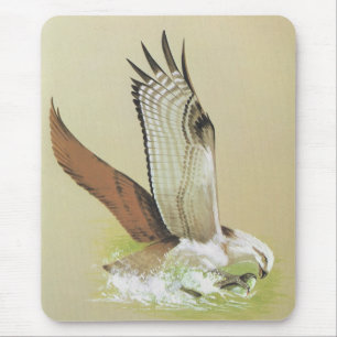 Osprey - Pandion haliaetus Mousepad