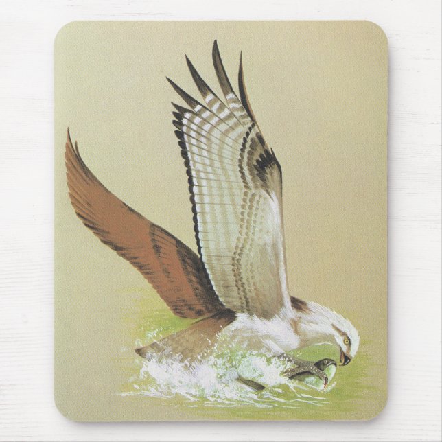 Osprey - Pandion haliaetus Mousepad (Vorne)