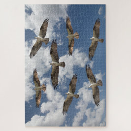 Osprey-Parade am Himmel Puzzle