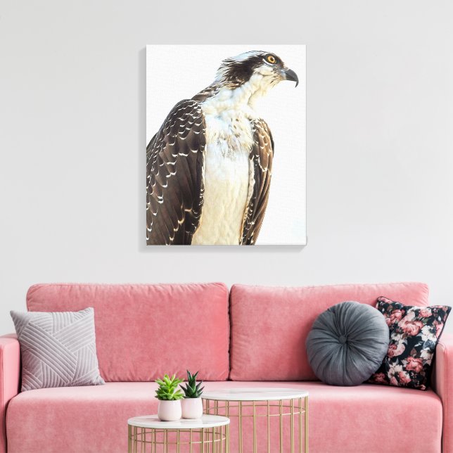 Osprey Profile Wrapped Canvas Leinwanddruck (Insitu (Wohnzimmer))