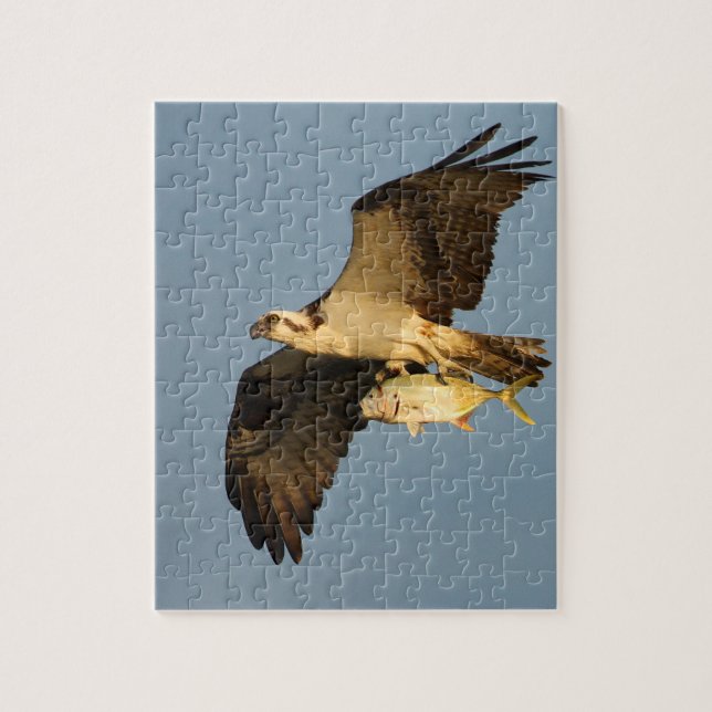 Osprey Puzzle (Vertikal)