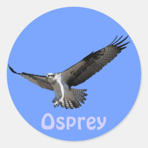 Osprey Raptor Birdlover's Wildlife Sticker