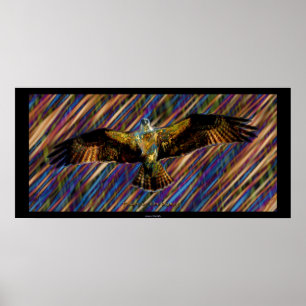 OSPREY Raptor Modern Art Poster