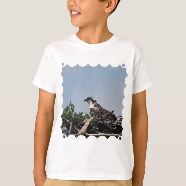 Osprey sitzt auf Nest Youth T - Shirt (Vorderseite)