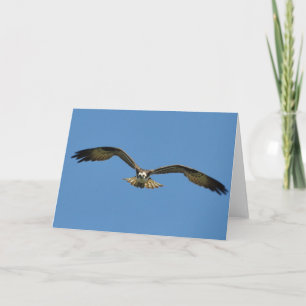 Osprey Soars zu YouFramework Art Card Karte