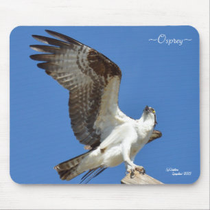 Osprey Stretching Flügel Mousepad